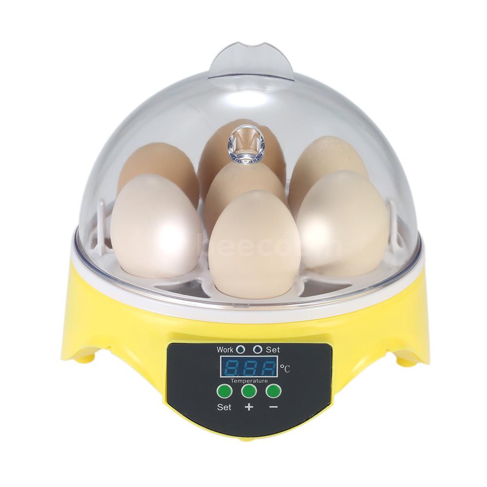 7 Eggs Mini Digital Egg Incubator Hatcher Transparent Egg ...